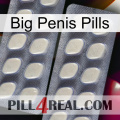 Big Penis Pills 07